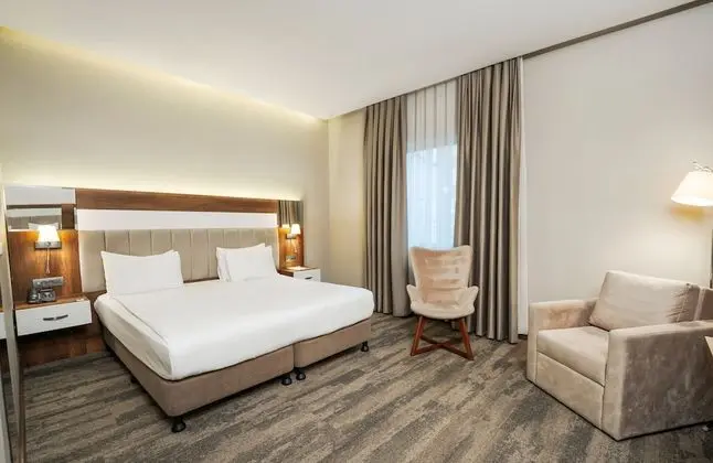Deluxe Tek Büyük Yataklı Oda