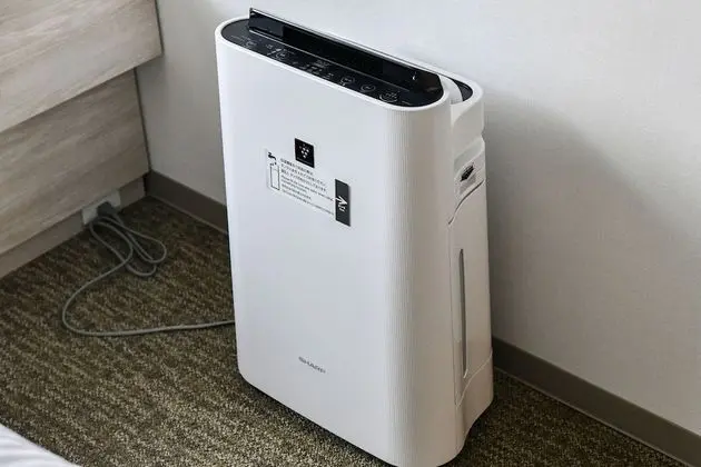 Comfort Tek Büyük Yataklı Oda, Sigara İçilmez