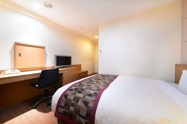 Standard Tek Kişilik Oda, 1 Büyük (Queen) Boy Yatak, Sigara İçilebilir