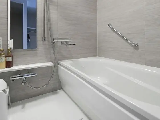 Executive Tek Büyük Yataklı Oda, Sigara İçilmez