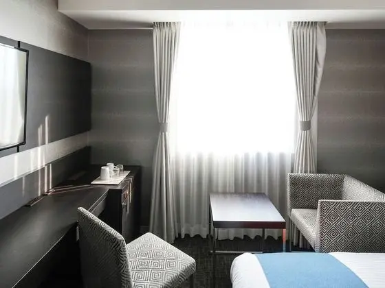 Executive Tek Büyük Yataklı Oda, Sigara İçilmez