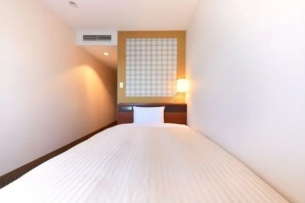 Economy Tek Büyük Yataklı Oda, Sigara İçilebilir (Small Double Bed)