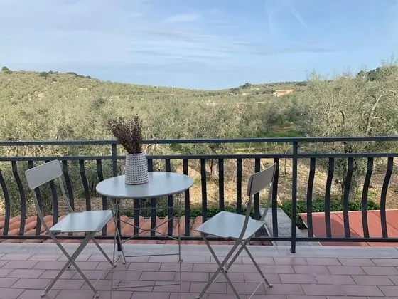 Tek Büyük Yataklı Oda, Balkon, Bahçe Manzaralı