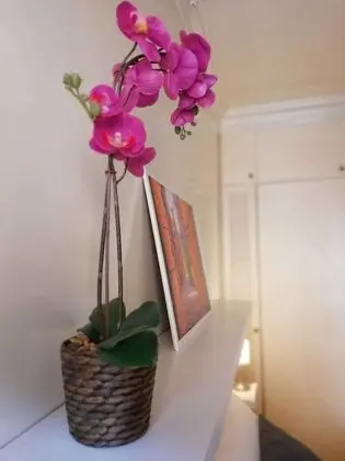 Classic Tek Büyük Yataklı Oda, Özel Banyo (External) (Suite 1)