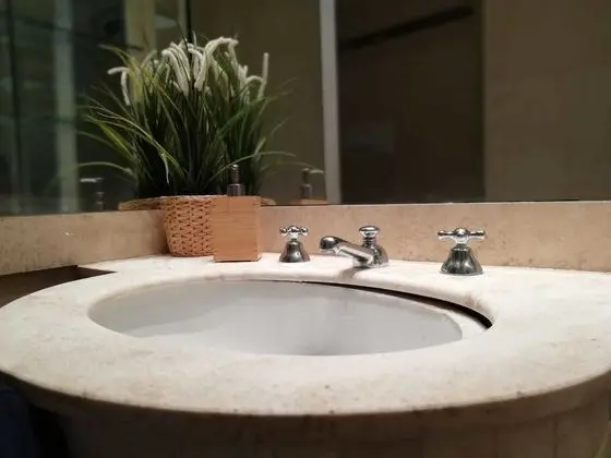 Tek Büyük Yataklı Oda, Banyolu/Duşlu (Suite 2)