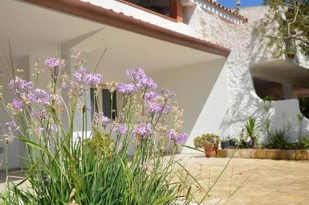 Apart Daire, Engellilere Uygun