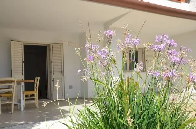 Apart Daire, Engellilere Uygun