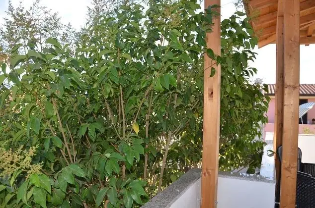 Apart Daire, Engellilere Uygun