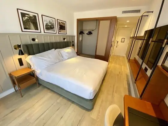 Deluxe Oda, 1 En Büyük (King) Boy Yatak, Balkon
