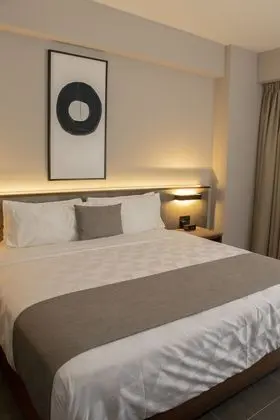 Deluxe Tek Büyük Yataklı Oda, 1 En Büyük (King) Boy Yatak, Şehir Manzaralı