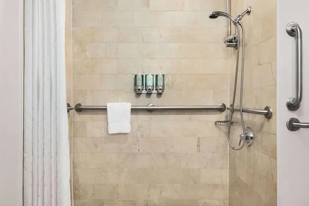 Oda, 1 En Büyük (King) Boy Yatak, Engellilere Uygun (Hearing, Mobility Roll-In Shower)