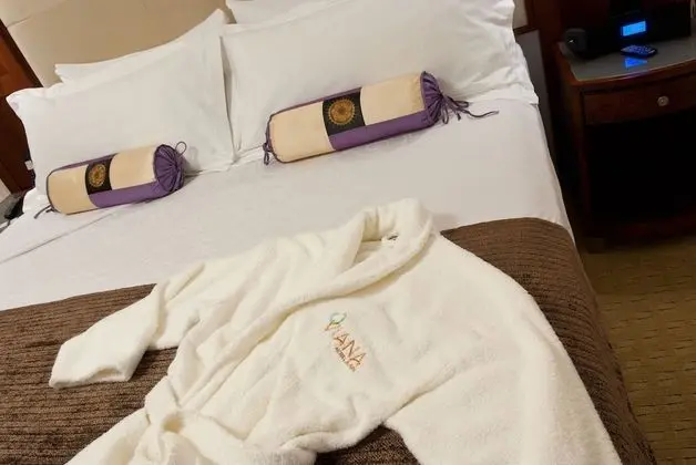 Süit, 1 Yatak Odası, Sigara İçilmez, Balkon (1 King Bed, Hydrotherapy)