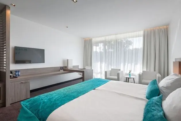 Deluxe Tek Büyük Yataklı Oda, Balkon