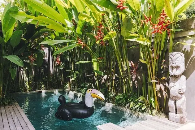 Deluxe Villa, 1 Yatak Odası