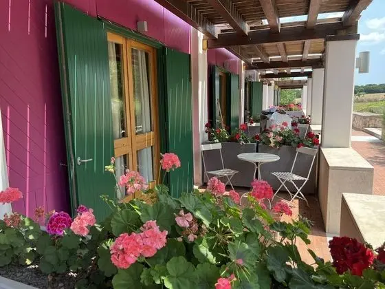 Junior Süit, Birden Çok Yatak