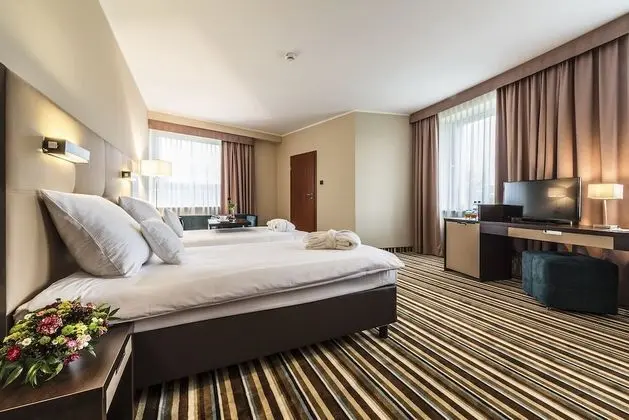 Standard Tek Büyük Yataklı Oda