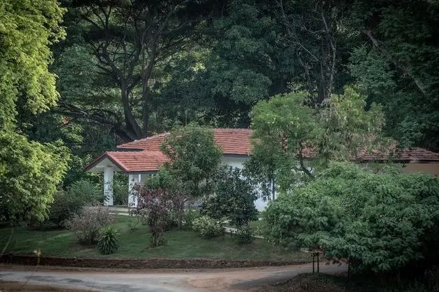 Standard Kır Evi, 2 Yatak Odası