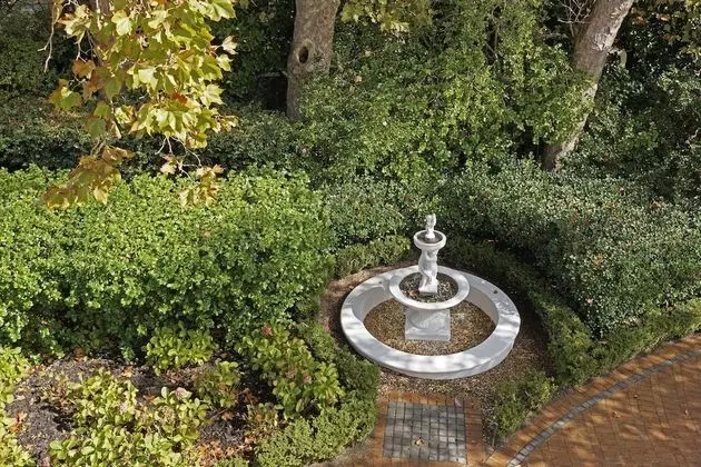 Economy Oda (Bloomsbury)