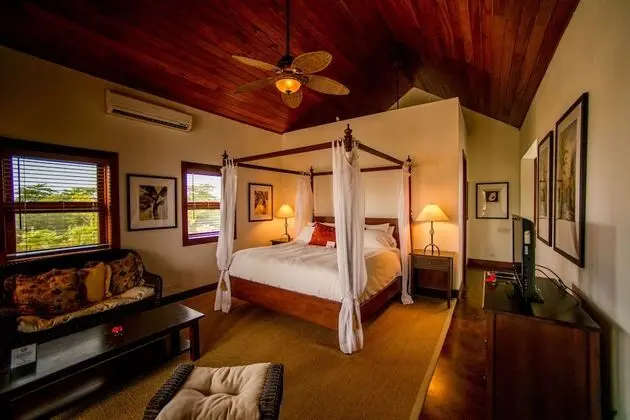 1 Bedroom Infinity Suite
