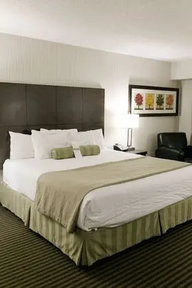 Deluxe Oda (One king bed)