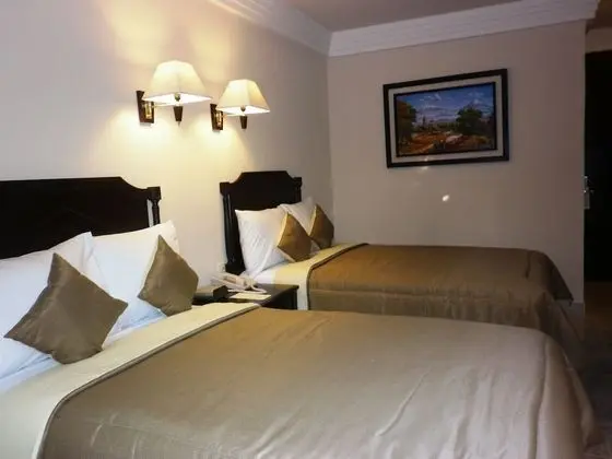Tek Büyük Yataklı Oda, Buzdolabı, Şehir Manzaralı