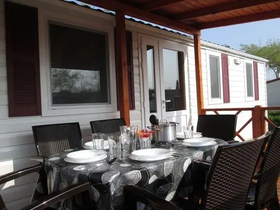 Family Karavan