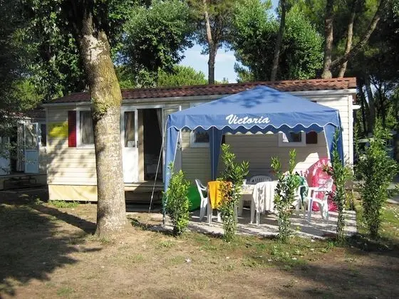 Family Karavan, 2 Yatak Odası