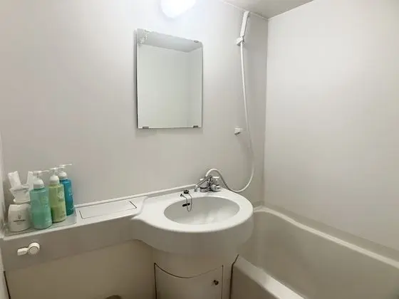 Economy Tek Büyük Yataklı Oda, Sigara İçilmez