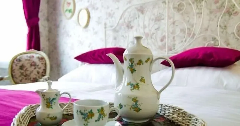 Superior Tek Kişilik Oda, 1 Büyük (Queen) Boy Yatak