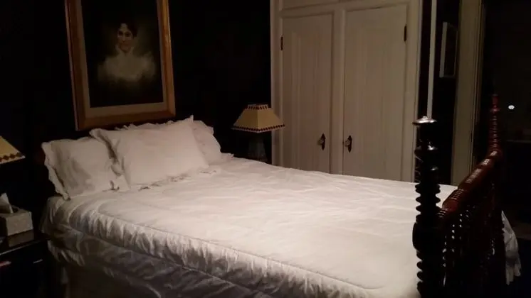 Luxury Oda, 1 Büyük (Queen) Boy Yatak, Sigara İçilmez