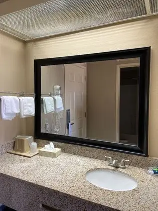 Deluxe Tek Kişilik Oda, 1 En Büyük (King) Boy Yatak, Engellilere Uygun