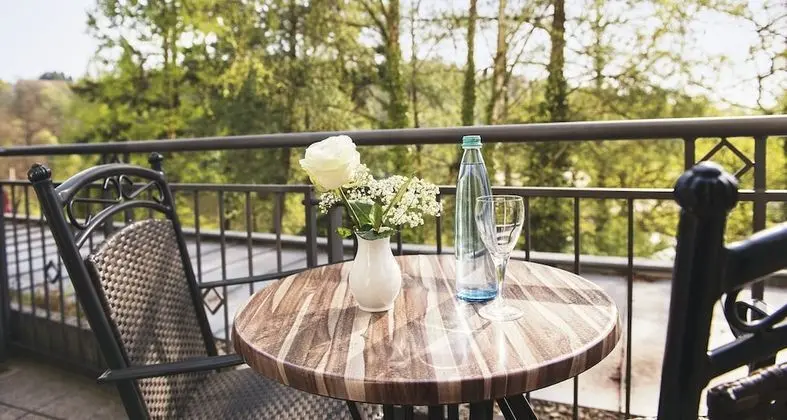 Deluxe İki Ayrı Yataklı Oda, Park Manzaralı, Bahçeli