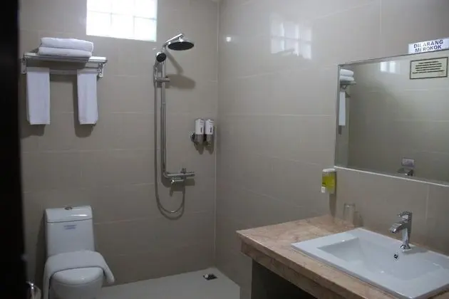 Superior Tek Büyük veya İki Ayrı Yataklı Oda