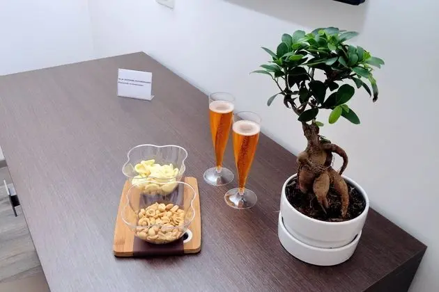 Superior Tek Büyük Yataklı Oda, Şehir Manzaralı