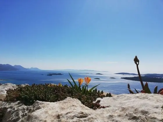 Apart Daire (Vida with garden - A2(2+2) -  Limun)