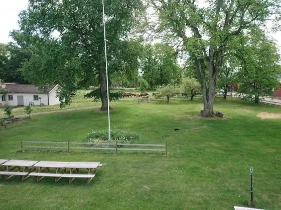 Tek Büyük Yataklı Oda, Balkon, Bahçe Manzaralı