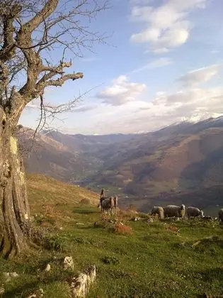 Exclusive Kır Evi, Özel Banyo, Dağ Manzaralı
