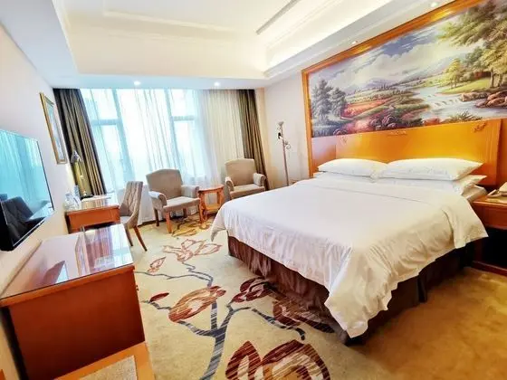 Deluxe Tek Kişilik Oda