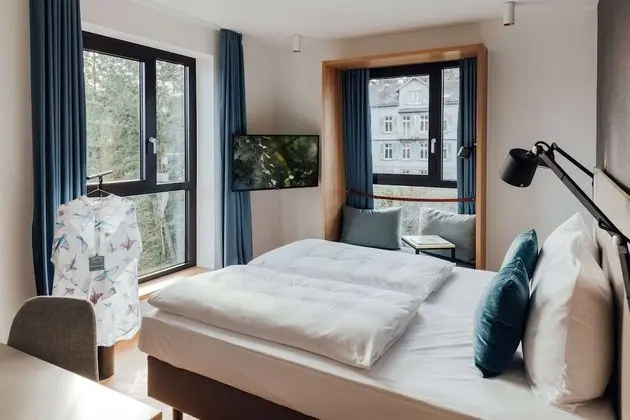 Executive Tek Büyük Yataklı Oda