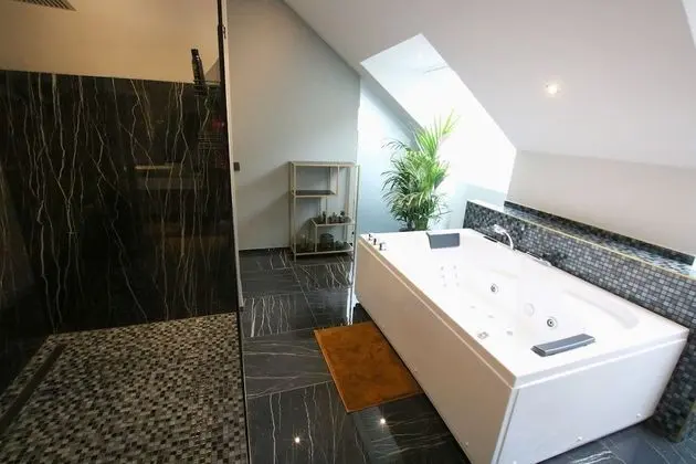 Süit, Teras (Penthouse)