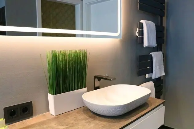 Süit, Teras (Penthouse)