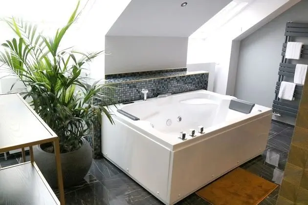 Süit, Teras (Penthouse)