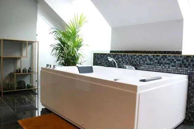 Süit, Teras (Penthouse)
