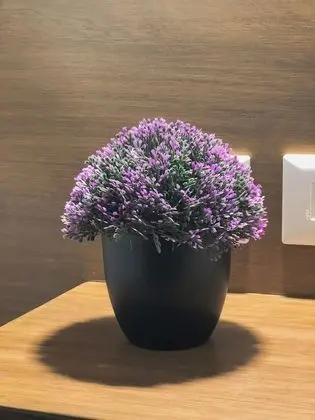 Superior Apart Daire, Birden Çok Yatak, Sigara İçilmez, 2 Banyolu