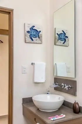 Superior Süit, 1 Yatak Odası, Özel Banyo