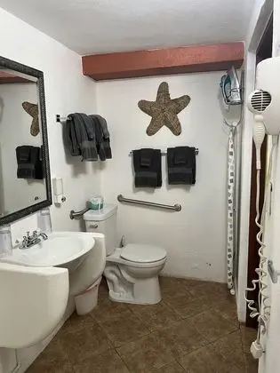 Deluxe Tek Büyük Yataklı Oda, 2 Çift Kişilik Yatak, Engellilere Uygun, Zemin Kat