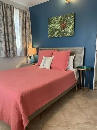 Deluxe Tek Kişilik Oda, 1 Büyük (Queen) Boy Yatak, Balkon