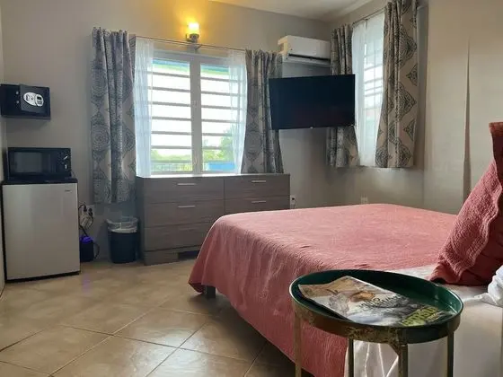 Deluxe Tek Kişilik Oda, 1 Büyük (Queen) Boy Yatak, Balkon