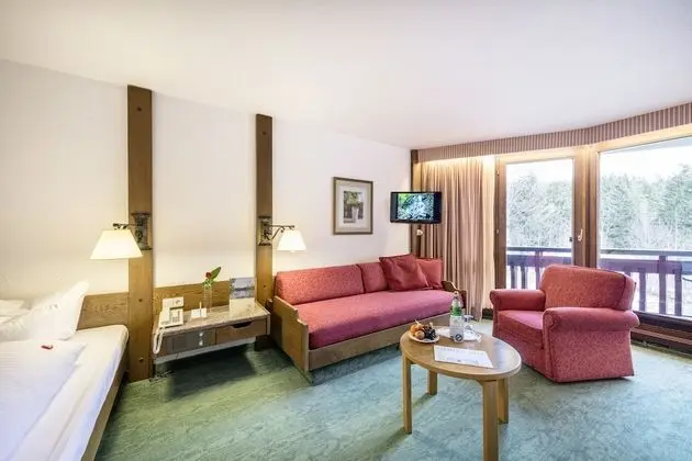 Comfort Tek Kişilik Oda (Forest Side)