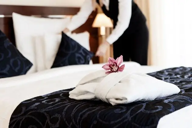 Superior Tek Büyük Yataklı Oda